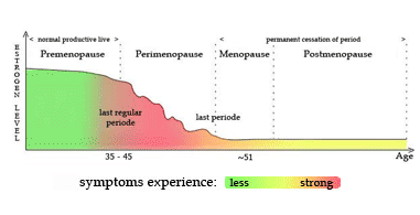 Premenopause Stage