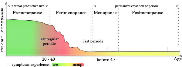 Early Menopause Symptoms